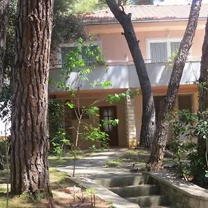 https://apartments-diana-josip.hotelinzadar.com
