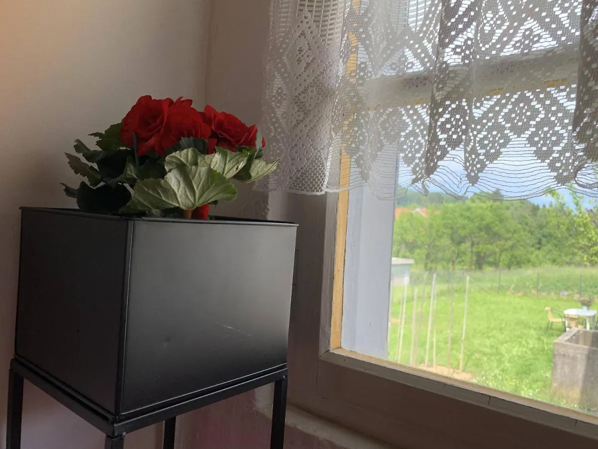 Apartment Apartmani Poljancic Ravna Gora